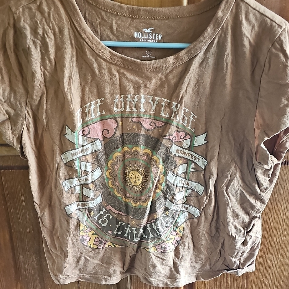 Hollister Brown Graphic T-Shirt